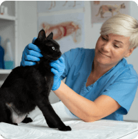 Dr. Horváth Daniella