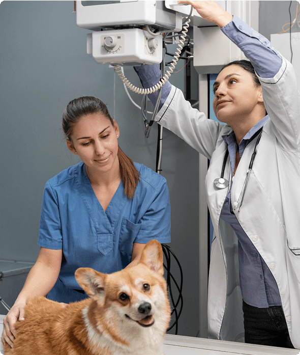 Az ellátás folyamata